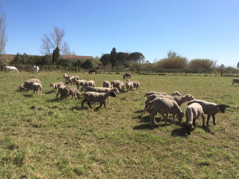 Juin 2015 141