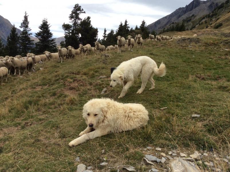 Montagne 2014 64