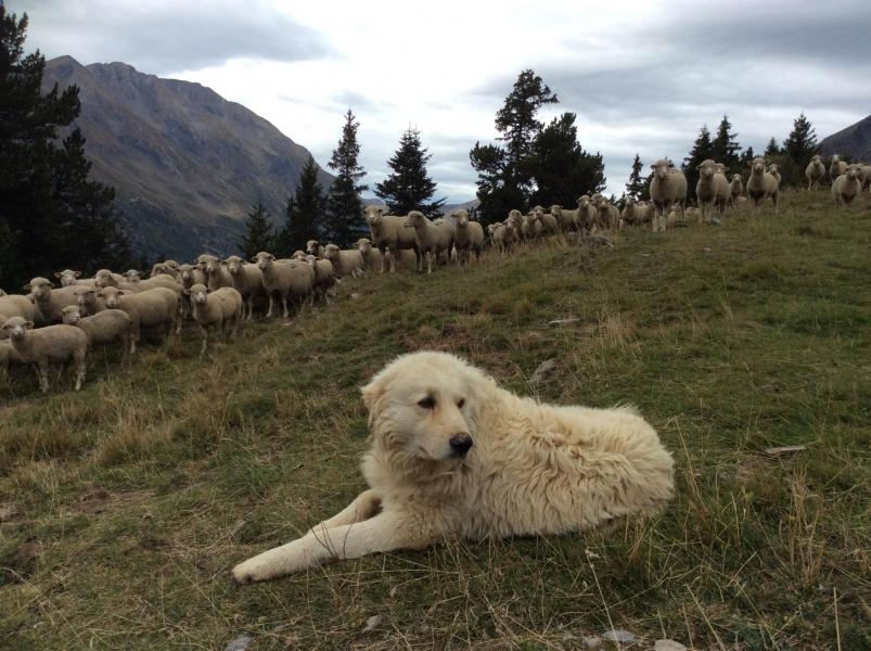 Montagne 2014 65
